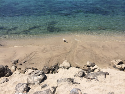 Strand und blaues Meer